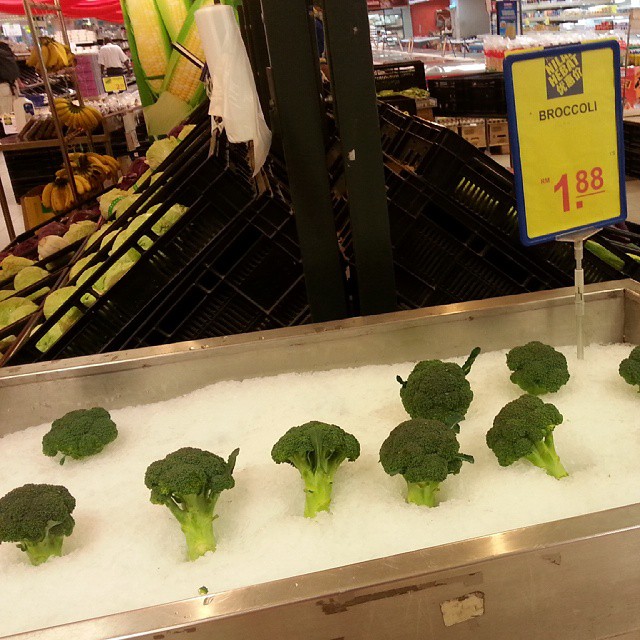 Brocoli on ice .. wonder if it makes a difference?