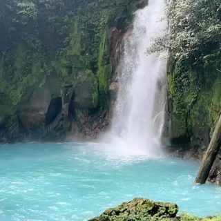 The waters of Rio Celeste are almost unbelievably blue. Hiked to this amazing waterfall earlier in the week and it was well worth the journey. #rioceleste #waterfallhike #costarica #puravida
